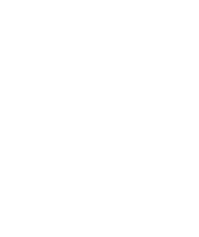 سكيور logo